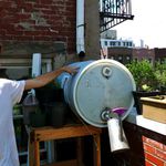Patrick Kiley at the rainwater collector. Hay mulches on a taller section of rooftop, and rainwater washes through the mulch, traveling down the gutter into the collection barrel seen here. Cirell converted a food-safe detergent barrel he "borrowed" from his day job at the Greenpoint Beer Works to make the collector. It provides water for the garden. 